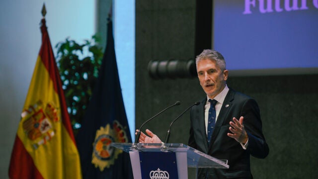 El ministro del Interior, Fernando Grande-Marlaska Óscar Cañas / Europa Press02/12/2020
