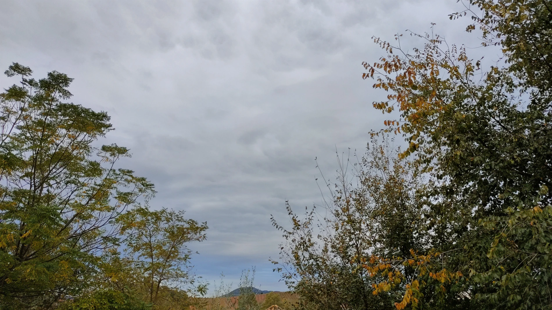 El día de mañana los cielos estarán cubiertos en la mayoría del país