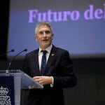El ministro del Interior, Fernando Grande-MarlaskÓscar Cañas / Europa Press02/12/2020