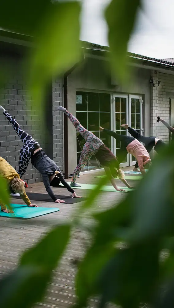 En la imagen, varias mujeres practicando yoga.