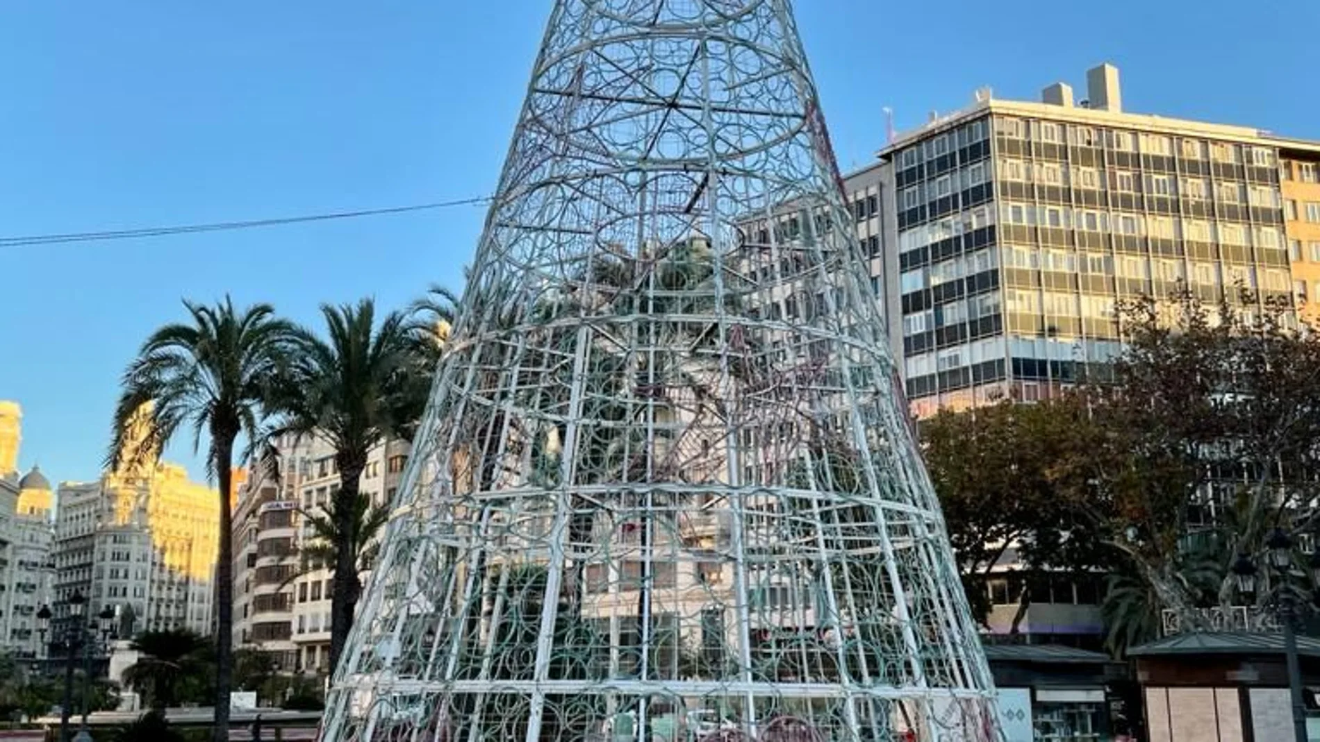 El árbol de Navidad plantado este año cuesta un 58 por ciento más que en 2018, pese a ser igual