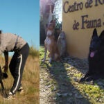 A la izq,. la adiestradora da la señal a «Lobo» para que inicie la detección en la línea eléctrica a prospectar. A la dcha, algunos de los miembros de la UCRA