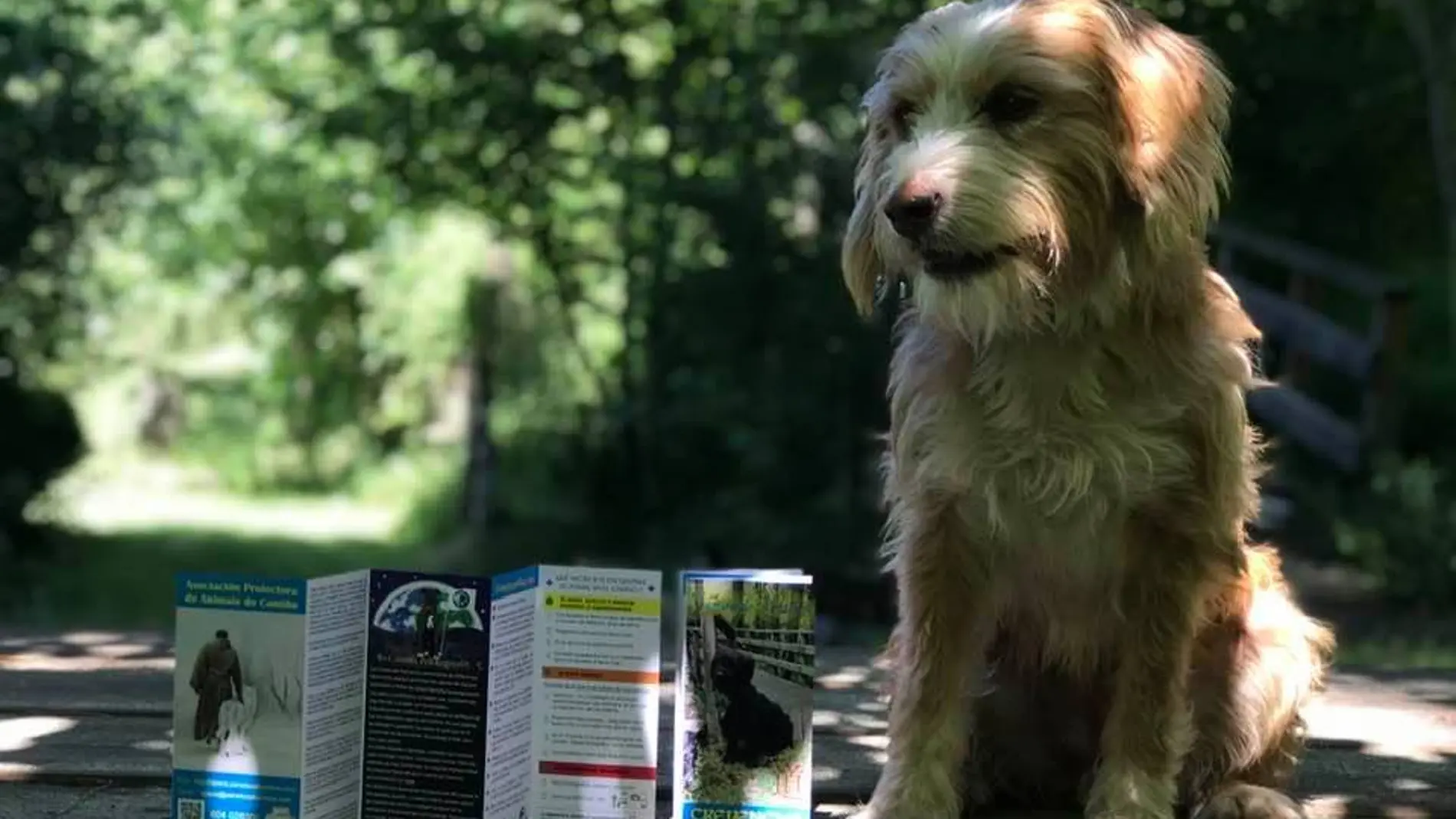 Una mascota promocionando la candidatura de Ponferrada