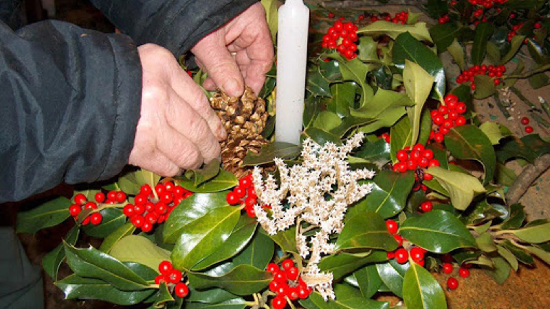 El Acebarillo elabora un acebo de Navidad