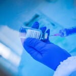 Un nuevo estudio de la Universidad de Cambridge confirma que el medicamento remdesivir es un antiviral altamente eficaz contra el SARS-CoV-2