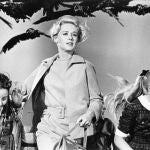 Pajaros de Hitchcok