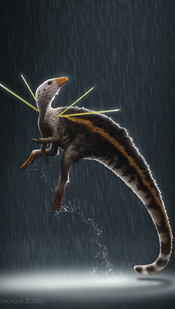 Ubirajara jubatus, un nuevo dinosaurio engalanado como un pavo real, nos recuerda el nexo entre ellos y las aves.