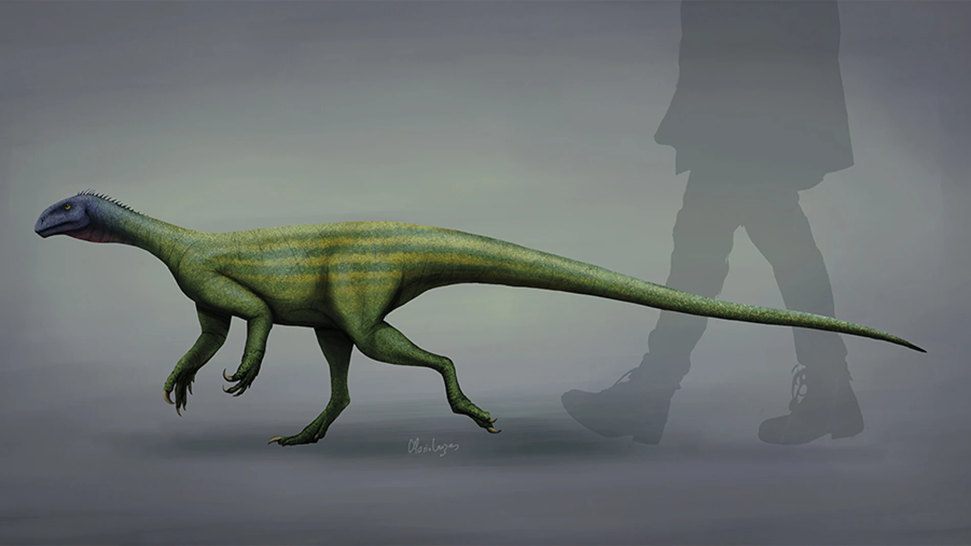 Restauración artística del Thecodontosaurus