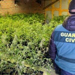 Material incautado en la vivienda de Villacid de Campos