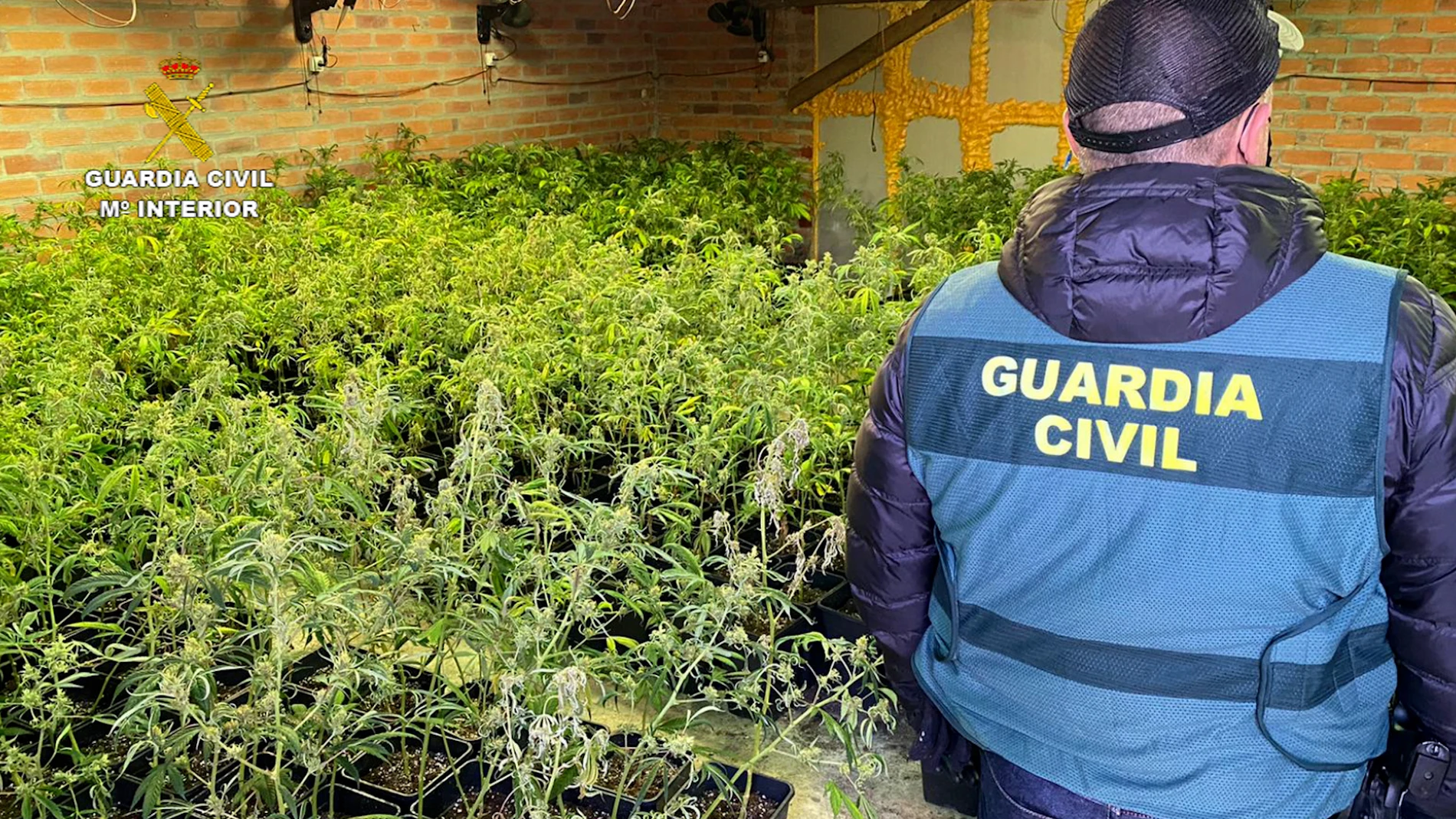 Material incautado en la vivienda de Villacid de Campos