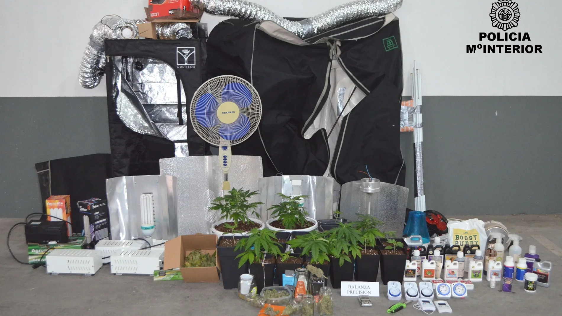 Droga incautada en la vivienda del detenido por violencia de género