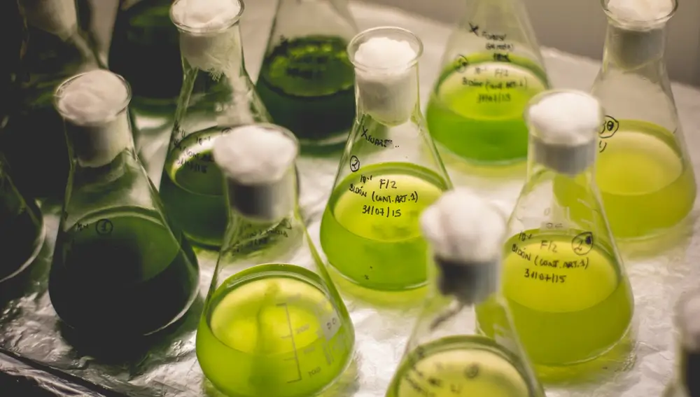 El laboratorio de Neoalgae en Gijón donde se producen bioestimulantes de algas