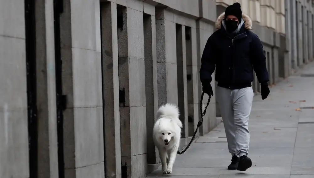 Un hombre pasea a su perro por el centro de Madrid un día frío