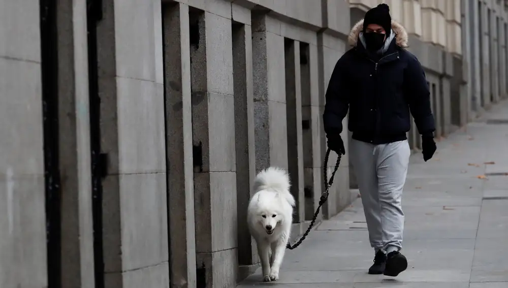Un hombre pasea a su perro por el centro de Madrid un día de intenso frío