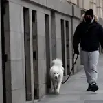 Un hombre pasea a su perro por el centro de Madrid un día frío