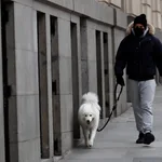 Un hombre pasea a su perro por el centro de Madrid un día frío