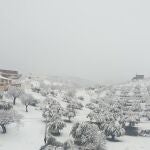 Tahal (Almería), bajo la intensa nevada de las últimas horas