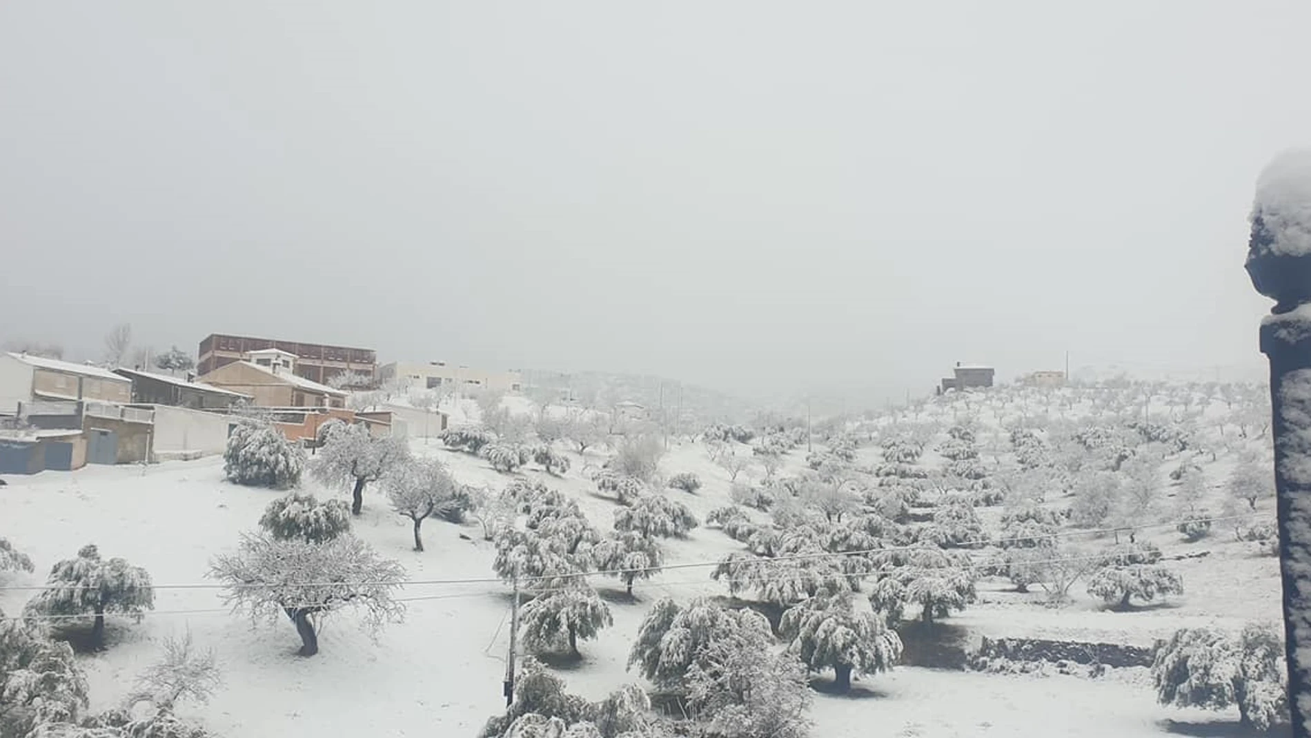 Tahal (Almería), bajo la intensa nevada de las últimas horas