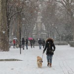 Una mujer pasea a su perro tras el paso de la borrasca Filomena, en Madrid (España)