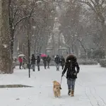 Una mujer pasea a su perro tras el paso de la borrasca Filomena, en Madrid (España)