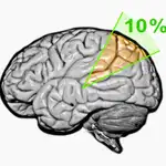 Ilustración conceptual del mito según el cual solo utilizamos el 10% de nuestro cerebro