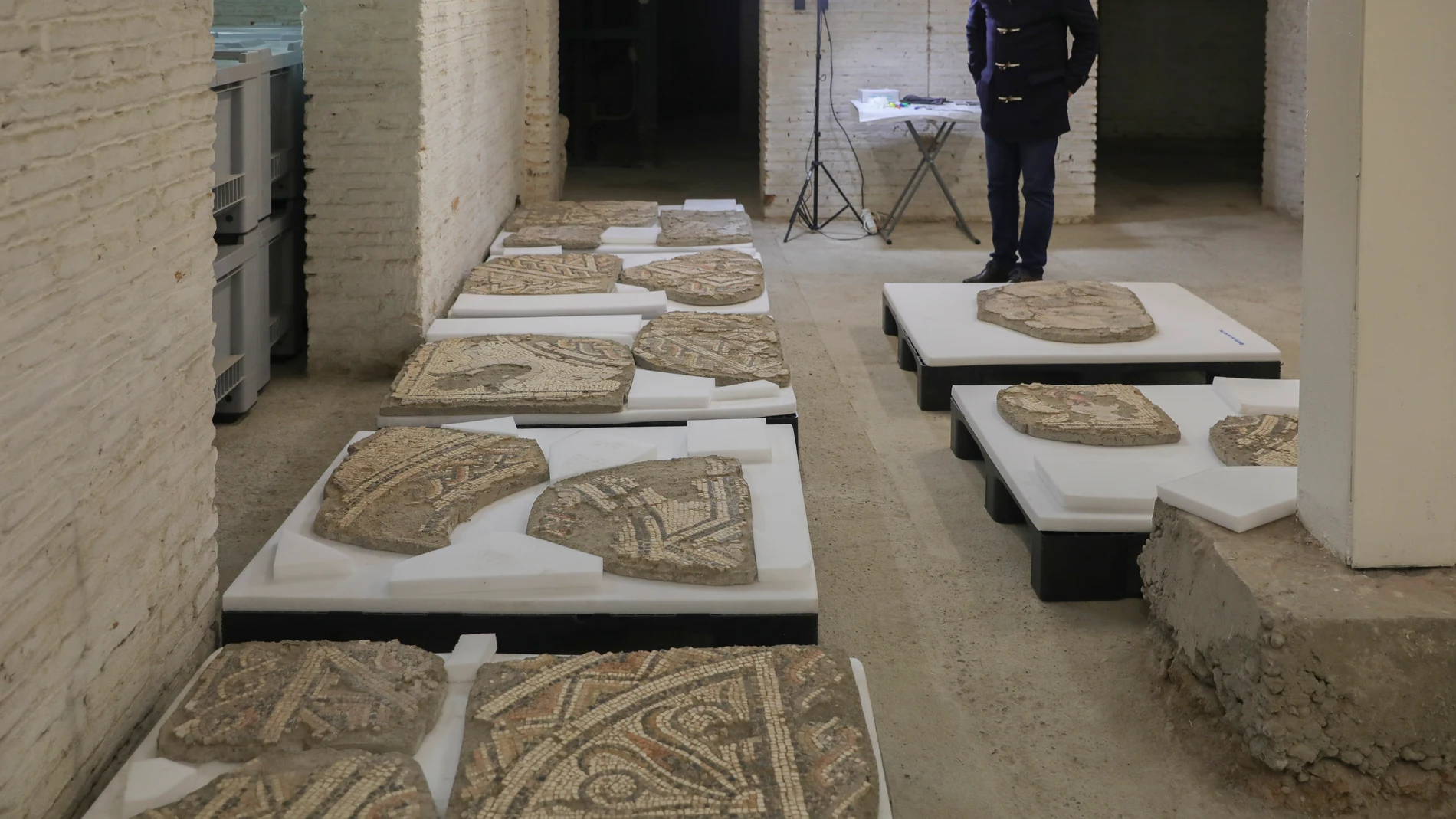 Mosaico del Rapto de Europa de Itálica en el Museo Arqueológico Provincial donde se procederá al traslado de las piezas para la posterior rehabilitación del edificio. En Sevilla (Andalucía, España), a 11 de enero de 2021.