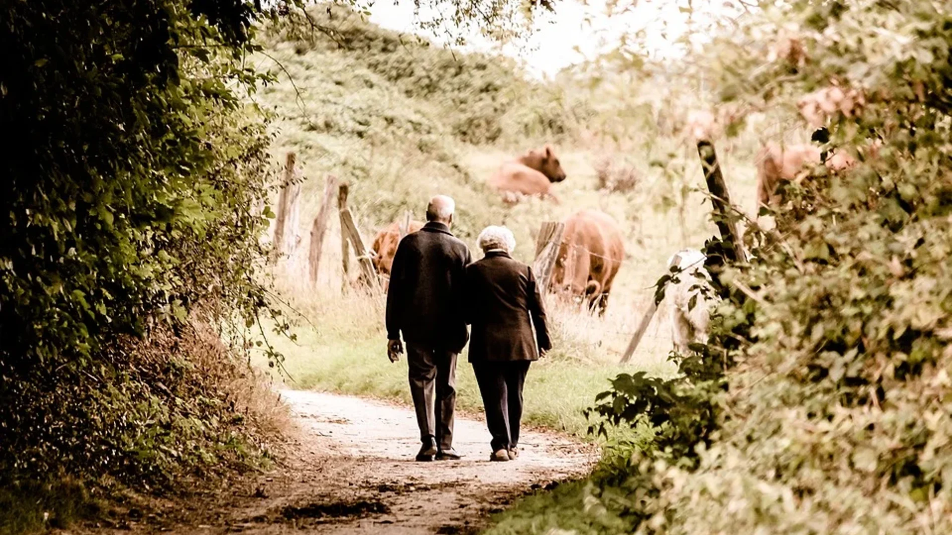 La atención a las personas mayores lleva siendo desde hace años una tarea pendiente en España. Tanto desde el punto de vista de los servicios asistenciales como desde la perspectiva de los cuidadores, queda todavía mucho camino por recorrer.