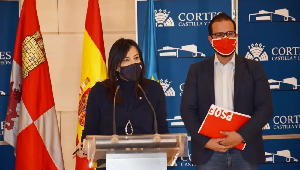Ana Sánchez en rueda de prensa junto al portavoz de Turismo del Grupo Socialista, Ángel HernándezPSOE12/01/2021