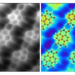 A la izquierda vemos una imagen de varias moléculas de diimida naftalenotetracarboxílica mediante microscopio de fuerza atómica. A la derecha vemos una simulación de ese mismo sistema, en la que la posición de los átomos se ha señalado mediante pelotas de colores: las pelotas grises son átomos de carbono, las blancas de hidrógeno, las rojas de oxígeno y las azules de nitrógeno. Las moléculas están unidas entre sí mediante puentes de hidrógeno, señalados mediante líneas de puntos, que conectan un átomo de nitrógeno y uno de oxígeno. En la imagen de la izquierda las regiones brillantes representan la posición de los electrones y, como vemos, nos permiten visualizar perfectamente los enlaces covalentes del interior de las moléculas. Sin embargo, vemos también que son perfectamente visibles los puentes de hidrógeno, como si en ellos hubiera un electrón “llenando el hueco” entre los átomos. Todo indica que en este caso se trata de un product