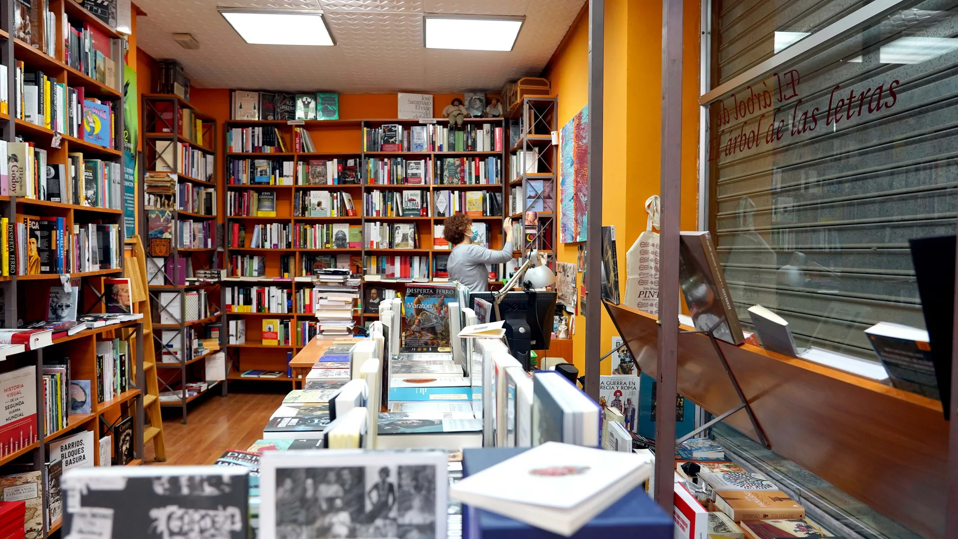La librería «El árbol de las letras» en la capital vallisoletana