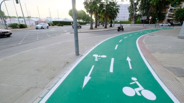 Carril bici de Sevilla