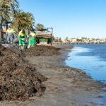 Una decena de operarios continúa con la limpieza de arenales del Mar Menor