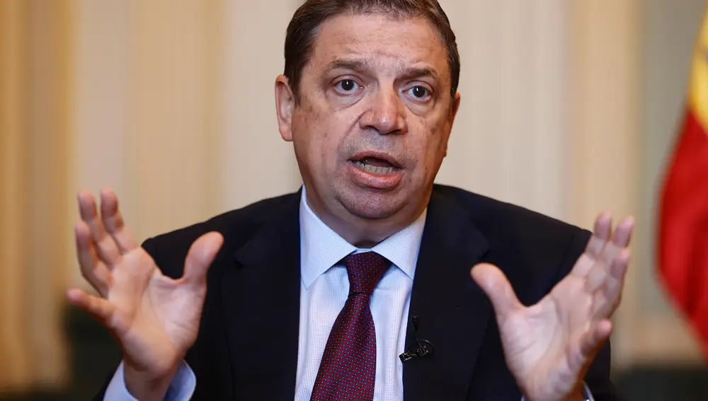 El ministro de Agricultura, Pesca y Alimentación, Luis Planas
