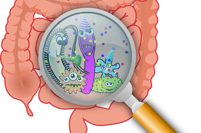 Una microbiota en plena forma previene el contagio de COVID-19