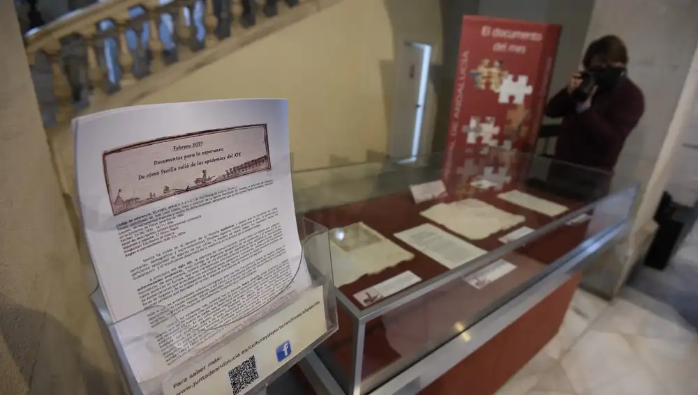 La consejera de Cultura y Patrimonio Histórico, Patricia del Pozo, inaugura la exposición 'Documentos para la esperanza. De cómo Sevilla salió de las epidemias del XIX'