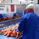 Trabajadoras de una empresa almeriense del sector agroalimentario preparan pimientos para su exportación a EEUU. JUNTA DE ANDALUCÍA
