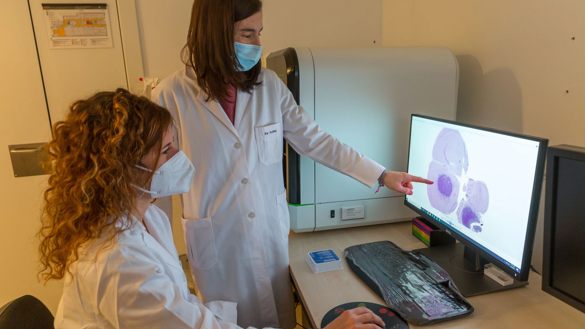 Dos investigadoras del laboratorio de tumores sólidos pediátricos del Cima y la Clínica Universidad de Navarra