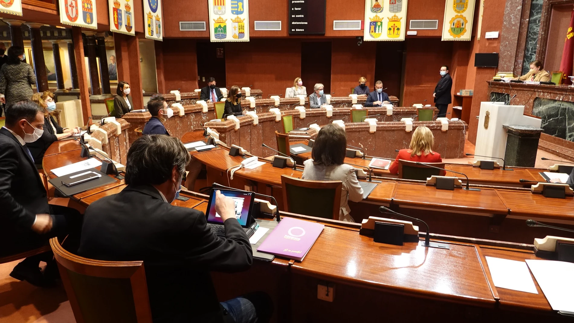 Imagen de la reunión de la Diputación Permanente