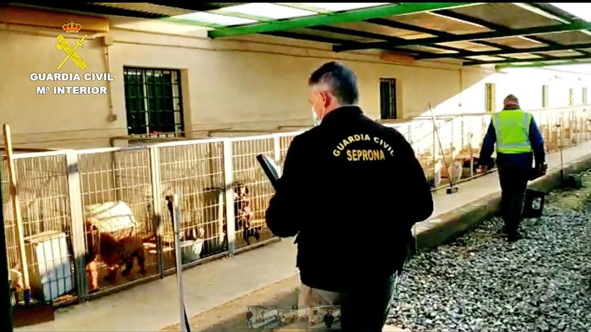 Agentes del Seprona de la Guardia Civil inspeccionan el criadero