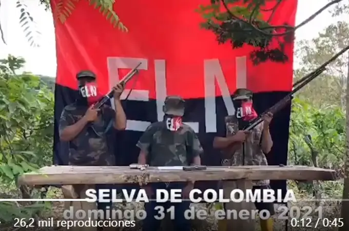 Un ornitólogo desmonta un vídeo falso sobre las elecciones en Ecuador