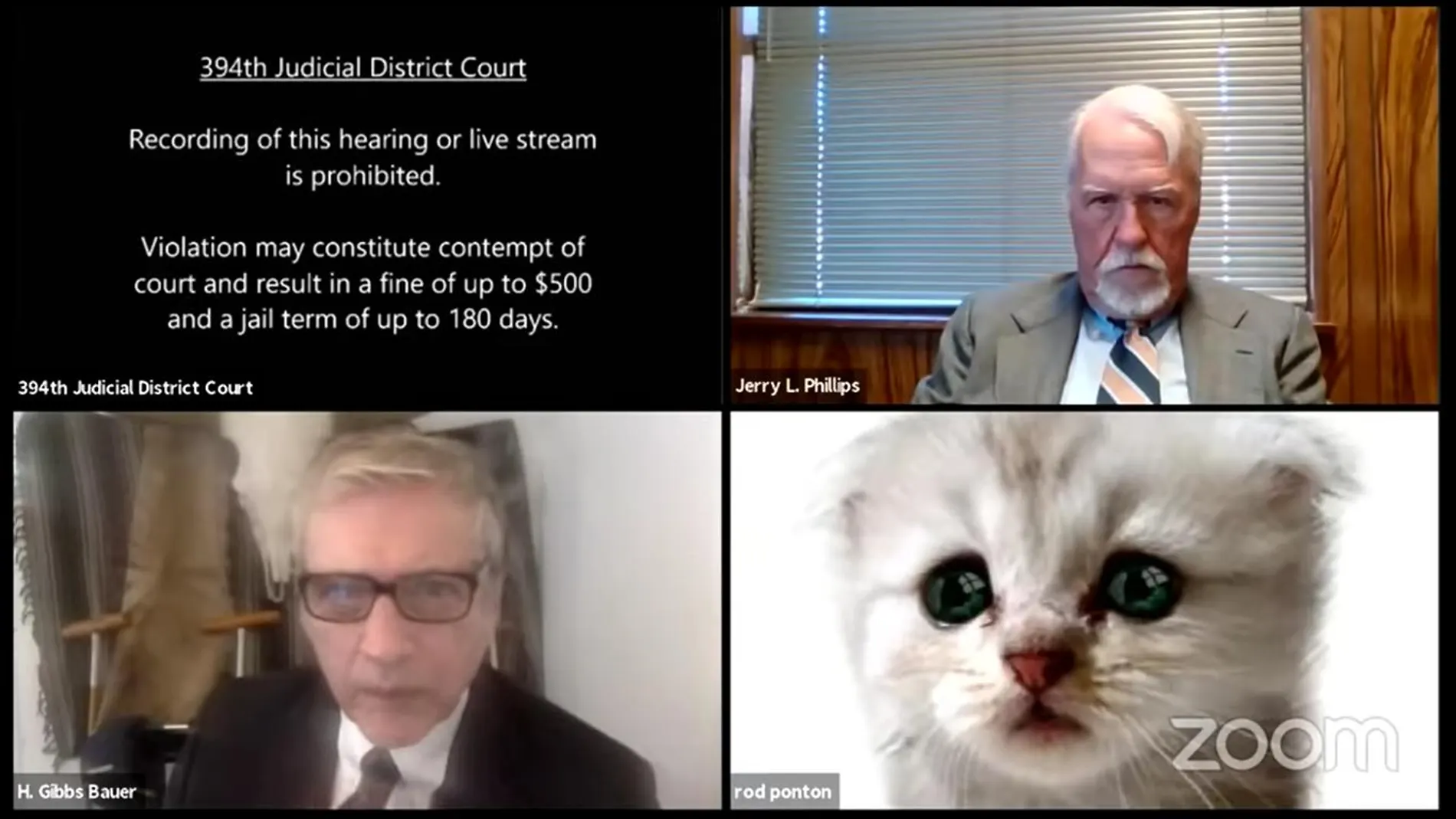 El abogado Ron Ponton, abajo a la derecha, bajo el filtro de un gato.