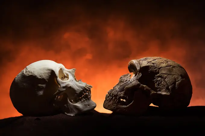Los neardentales y los sapiens estaban relacionados por la boca
