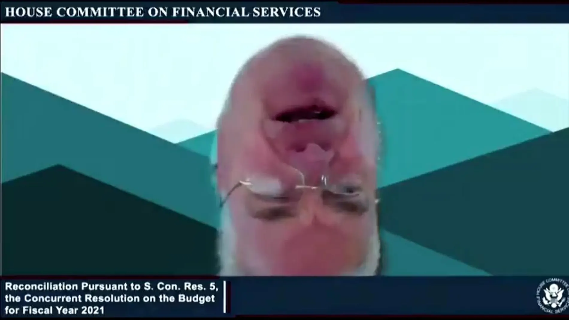 El congresista Tom Emmer, boca abajo durante una audiencia virtual del Congreso de Estados Unidos