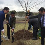 El consejero de Fomento y Medio Ambiente, Juan Carlos Suárez-Quiñones, planta un árbol