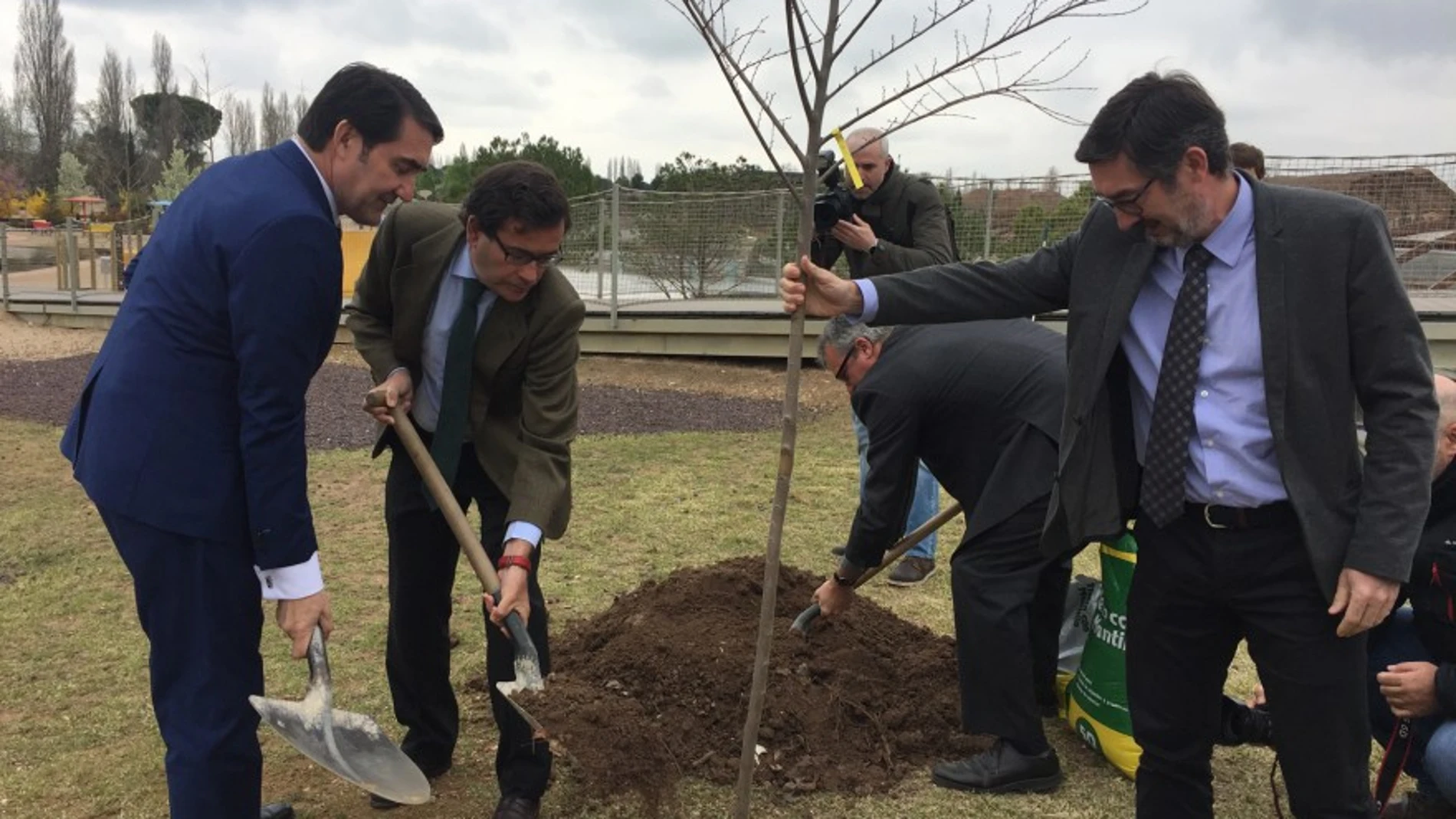 El consejero de Fomento y Medio Ambiente, Juan Carlos Suárez-Quiñones, planta un árbol