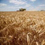 La demanda de cereales de China y la especulación han elevado los precios