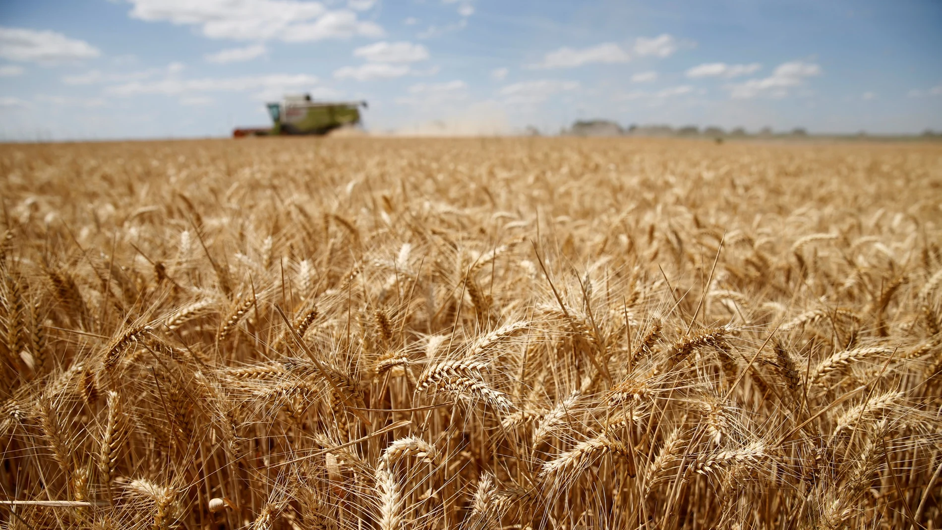 La demanda de cereales de China y la especulación han elevado los precios