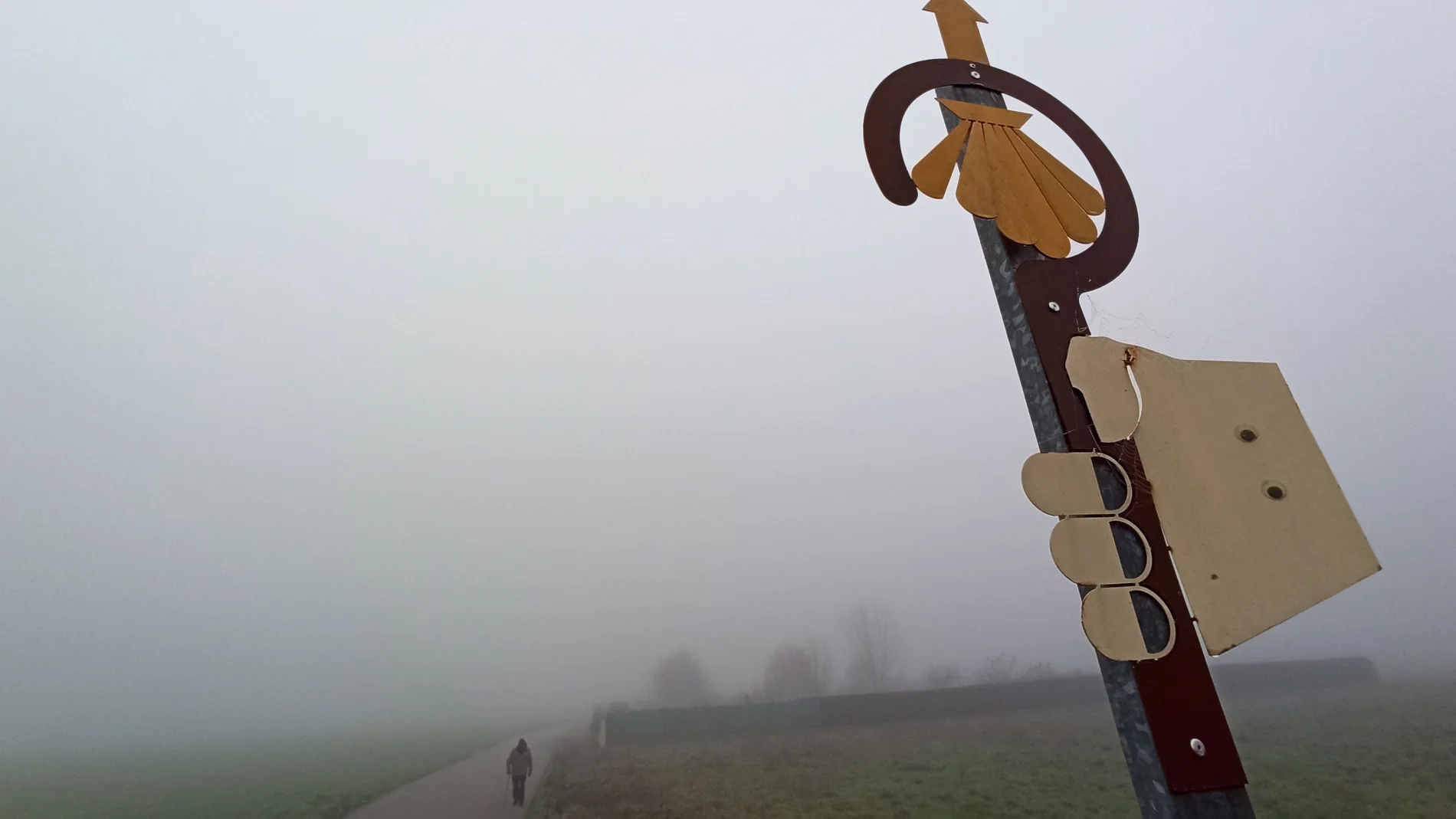 Intensa niebla en el Bierzo