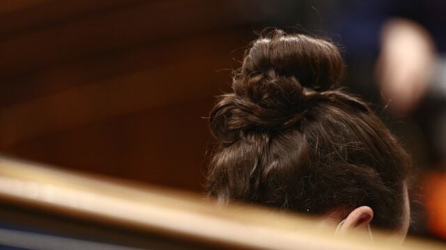 Pablo Iglesias, en el Congreso