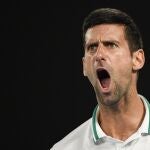 Djokovic celebra uno de los puntos importantes que ganó en las semifinales del Open de Australia ante Karatsev
